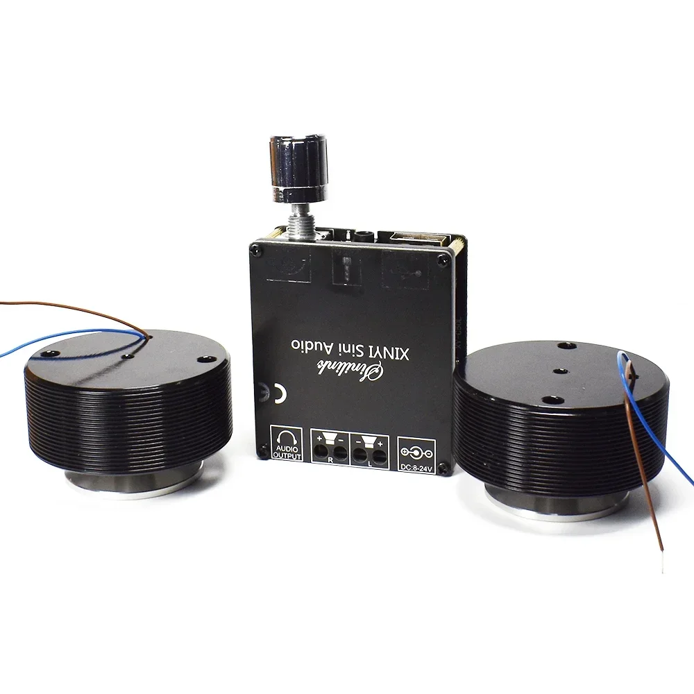 1 Set 50W 2.0 HIFI Vibration S - Musical Instrument Diy 评论和价格