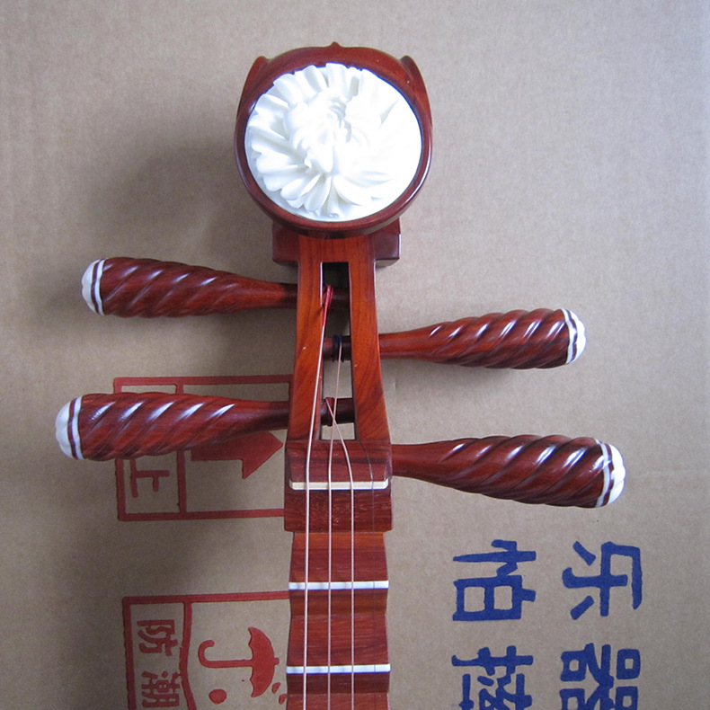 Professional Rosewood Pipa, Hi - Musical Instrument Ending In A 评论和价格