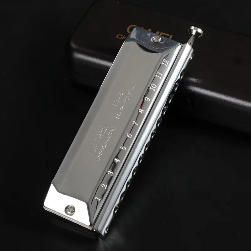 Stainless Steel 12 Hole 48 Not - Musical Instrument Note 评论和价格