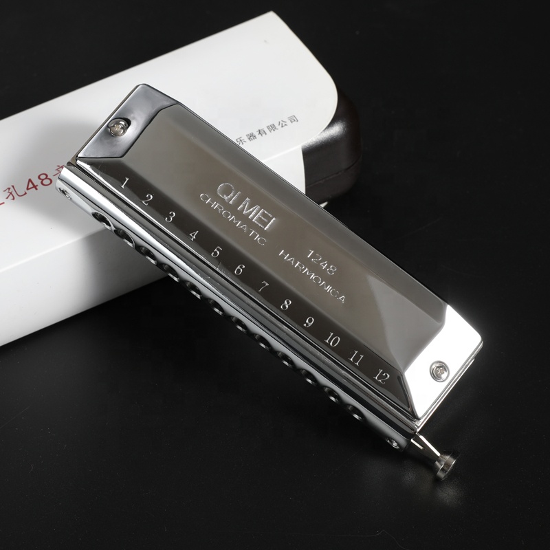 Stainless Steel 12 Hole 48 Not - Musical Instrument Note 评论和价格