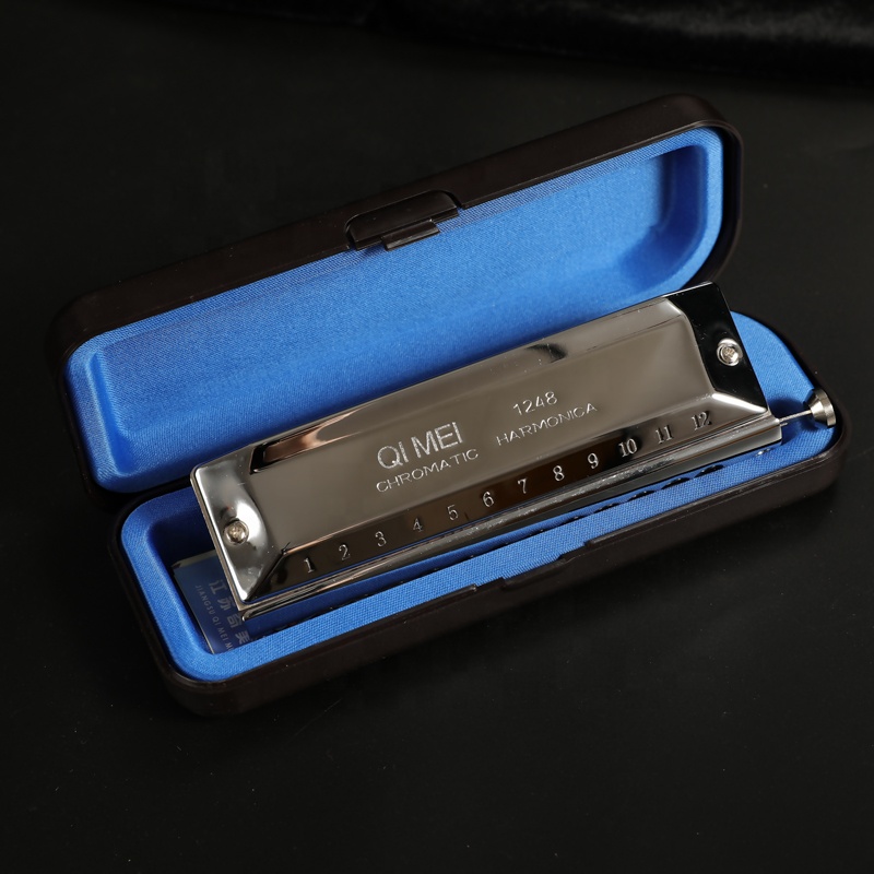 Stainless Steel 12 Hole 48 Not - Musical Instrument Note 评论和价格