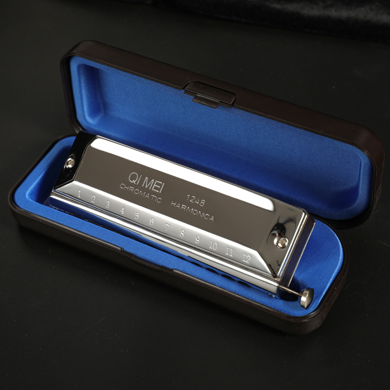 Stainless Steel 12 Hole 48 Not - Musical Instrument Note 评论和价格